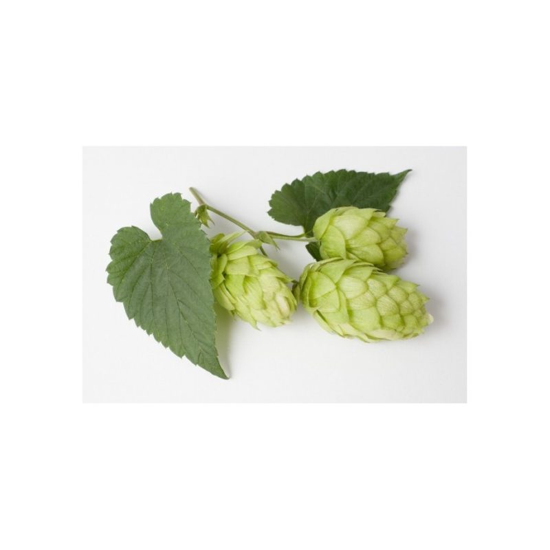 Granuliuoti universalūs apyniai STYRIAN AURORA