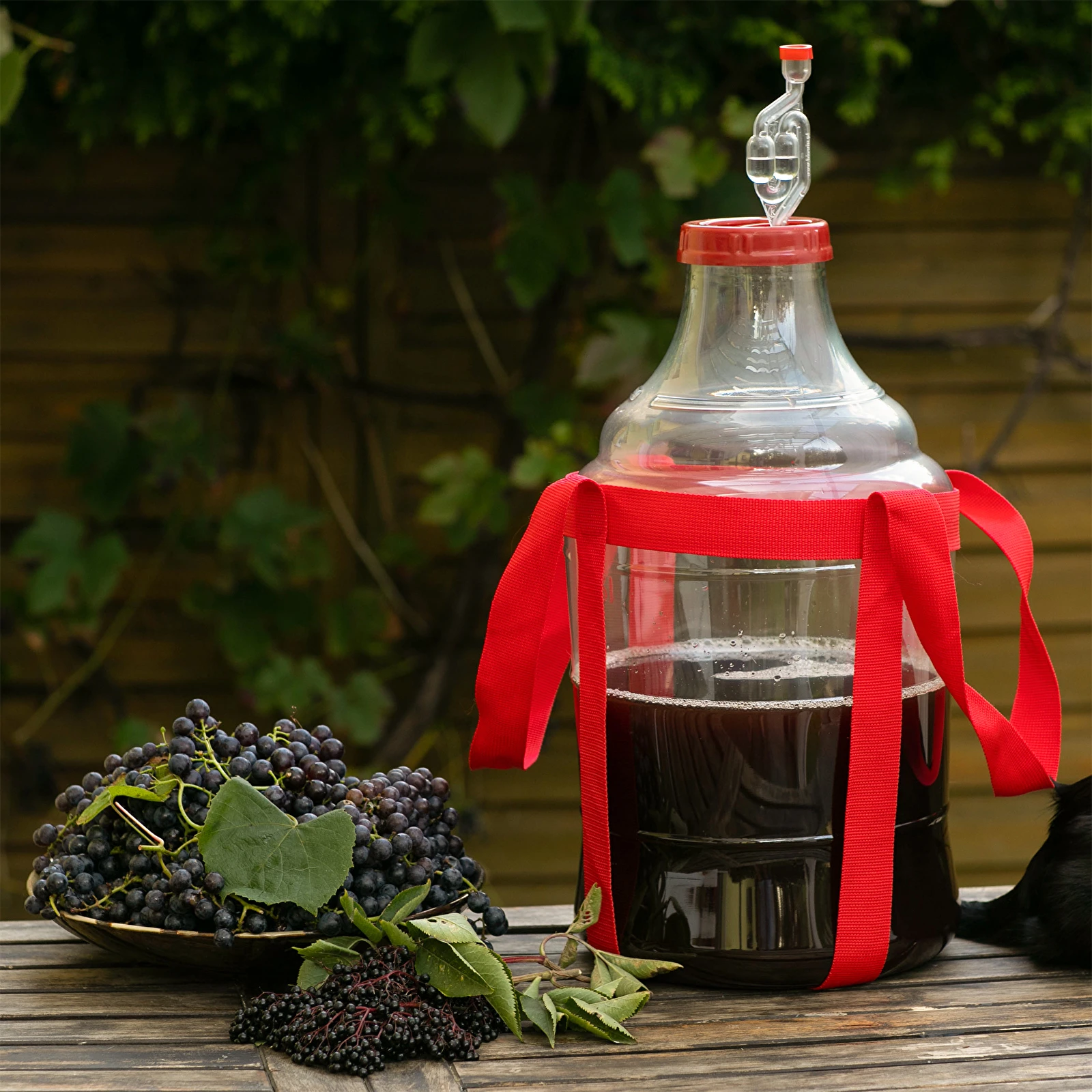 Plastikinis vyno indas su diržais Demijohn Browin 20L - Image 7